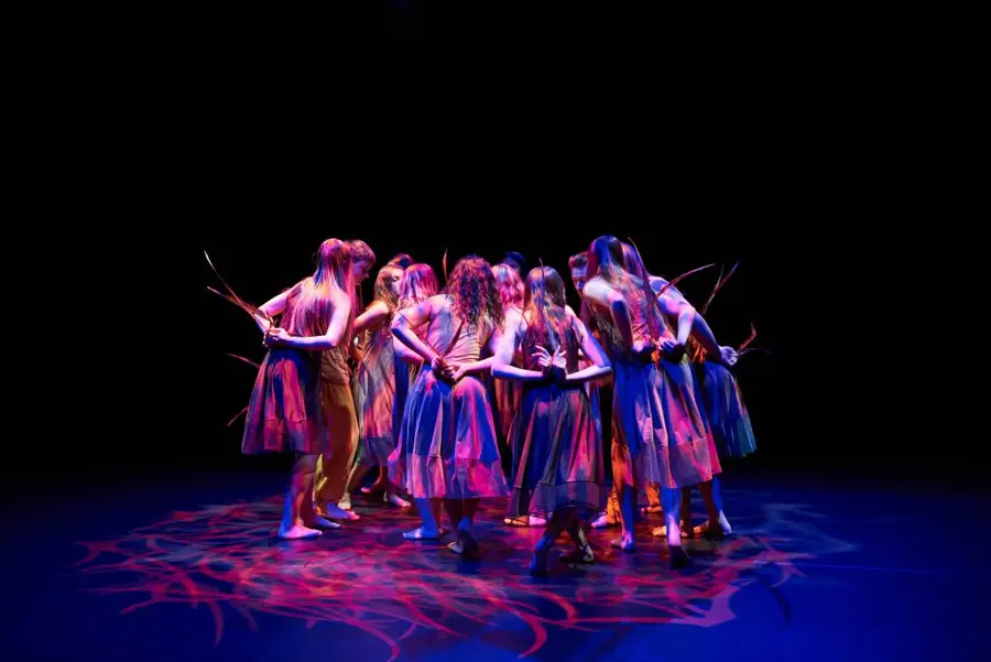 Burra Bumal 2026 — event artwork, Campbelltown, NSW