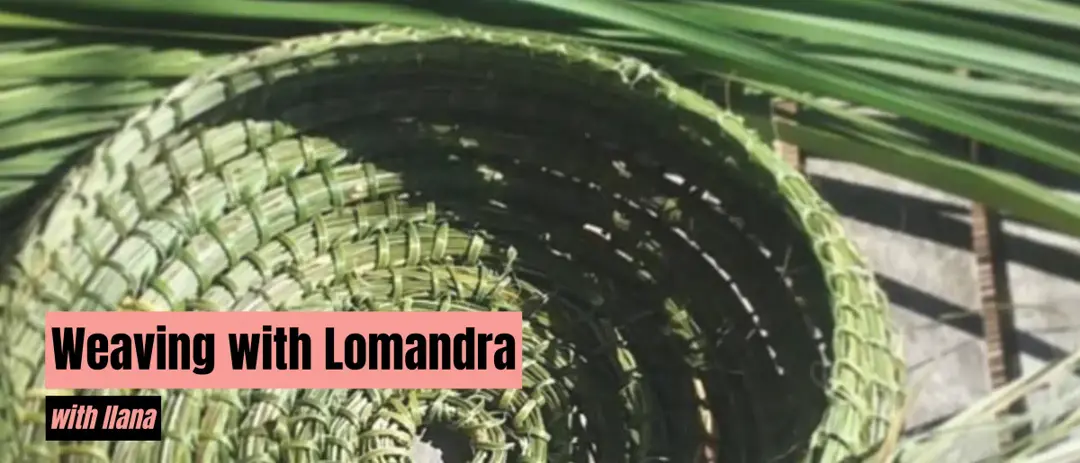 Weaving with Lomandra Workshop - 10.10.26 — event artwork, Randwick, NSW
