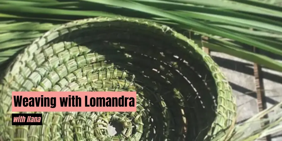 Weaving with Lomandra Workshop - 10.10.26