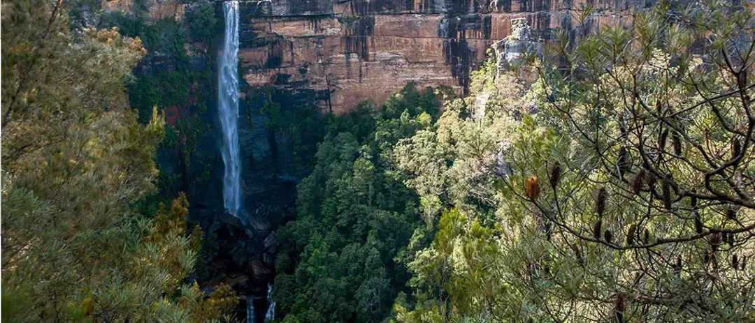 Traditional Aboriginal Weaving Workshop — Fitzroy Falls — event artwork, Fitzroy Falls, NSW