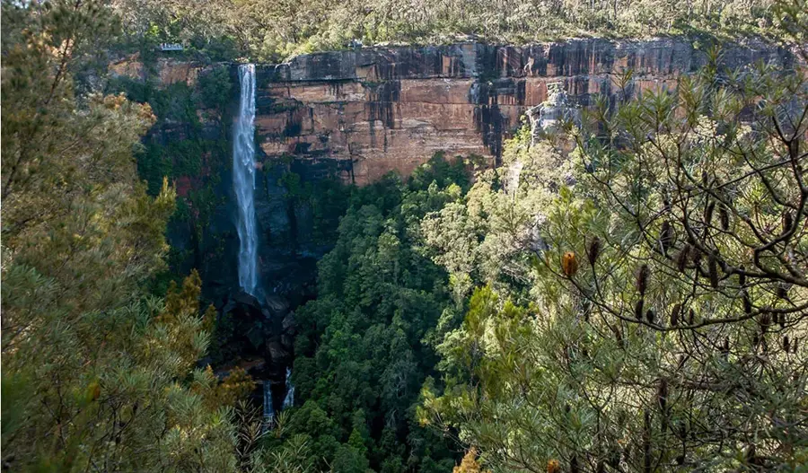 Traditional Aboriginal Weaving Workshop — Fitzroy Falls — event artwork, Fitzroy Falls, NSW