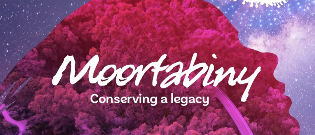 2 - 4 Oct. Moortabiny (Becoming Family) — event artwork, West Perth, WA