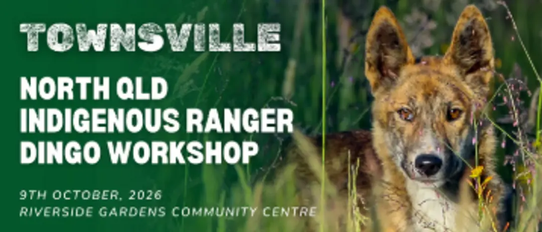 Townsville – North Queensland Indigenous Ranger Dingo Workshop 2026 — event artwork, Douglas, QLD