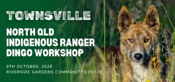 Townsville – North Queensland Indigenous Ranger Dingo Workshop 2026 — event artwork, Douglas, QLD