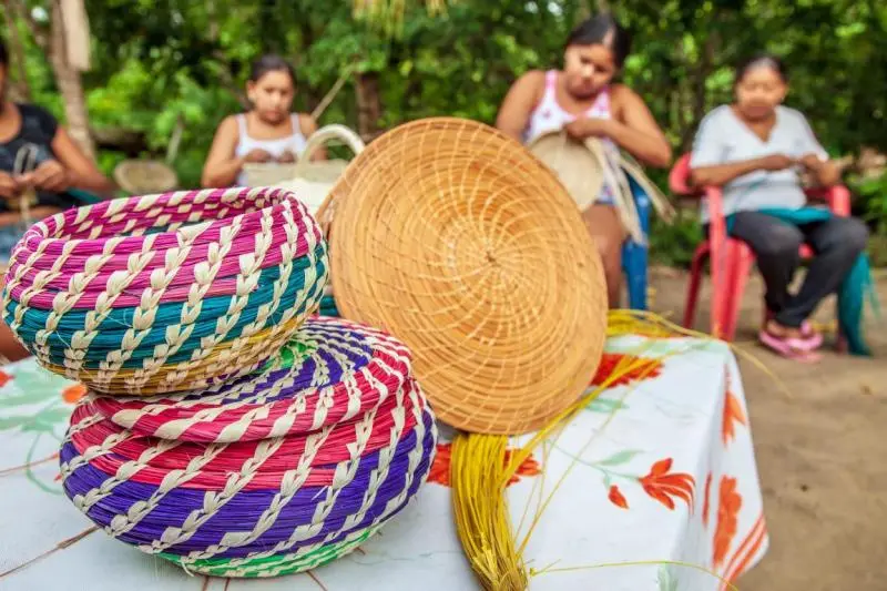 Basket Weaving Workshop — event artwork, Joondalup, WA